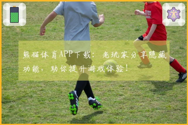 熊猫体育APP下载：老玩家分享隐藏功能，助你提升游戏体验！