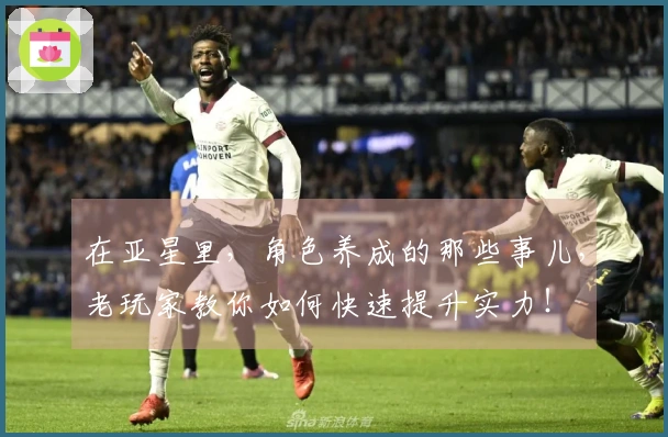 在亚星里，角色养成的那些事儿，老玩家教你如何快速提升实力！